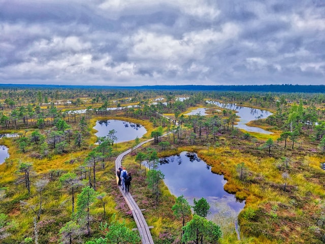 Visit Riga Best of Kemeri National Park In One Day in Jūrmala