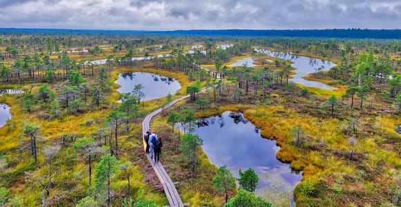 Riga: Das Beste des Kemeri Nationalparks an einem Tag
