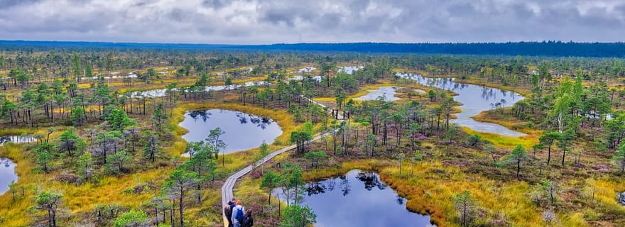 Riga : Le meilleur du parc national de Kemeri en une journée