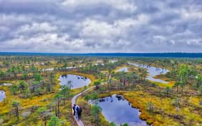 Riga: Best of Kemeri National Park In One Day