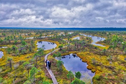 Riga: lo mejor del parque nacional de Kemeri en un día
