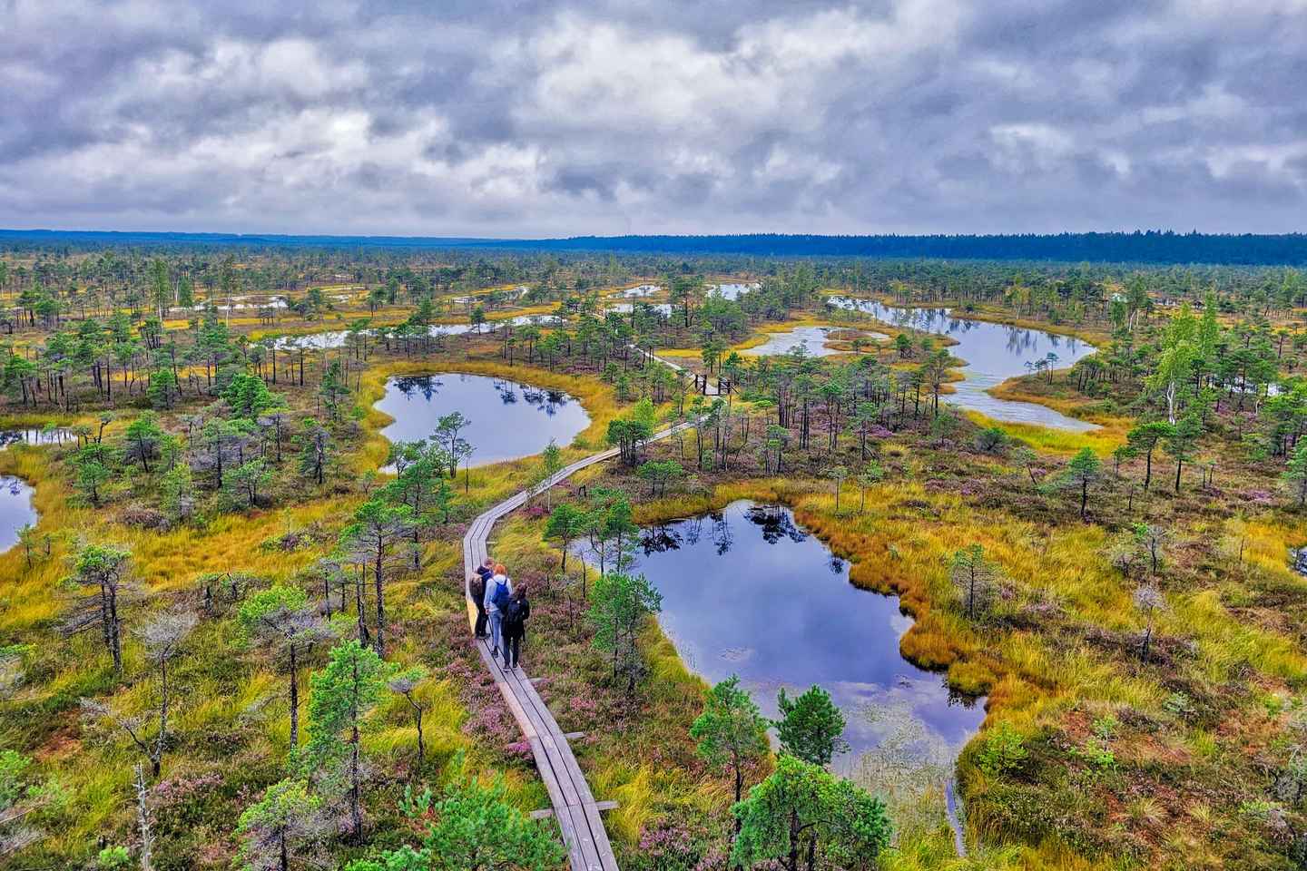 Riga: Best of Kemeri National Park In One Day - Private tour