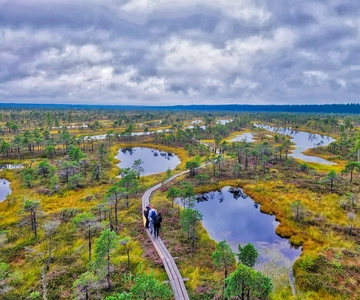 Riga: Best of Kemeri National Park In One Day