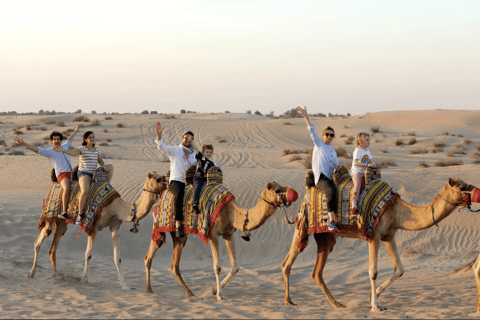 Dubai: Full-Day Desert Safari, Wildlife at Al Marmoom Oasis Shared Tour & Shared Tent
