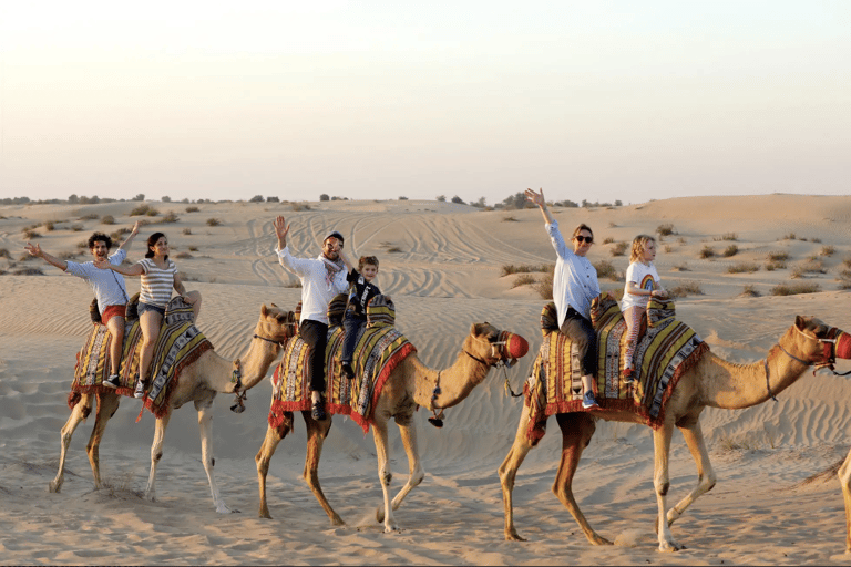 Dubai: Full-Day Desert Safari, Wildlife at Al Marmoom Oasis Shared Tour & Shared Tent