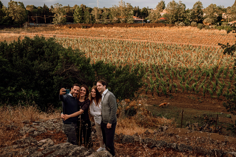 Etna : Urban Winery, promenade dans les vignobles et dégustation de vin au coucher du soleil