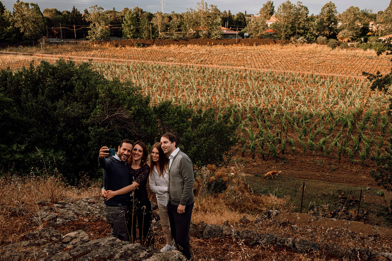 Etna : Urban Winery, promenade dans les vignobles et dégustation de vin au coucher du soleil