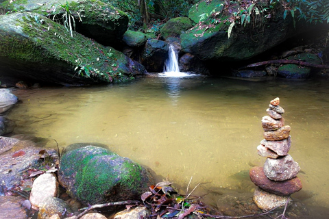 Rio de Janeiro: Escursione alla Cascata delle Anime della Foresta TijucaRio de Janeiro: escursione alla cascata delle anime nella foresta di Tijuca