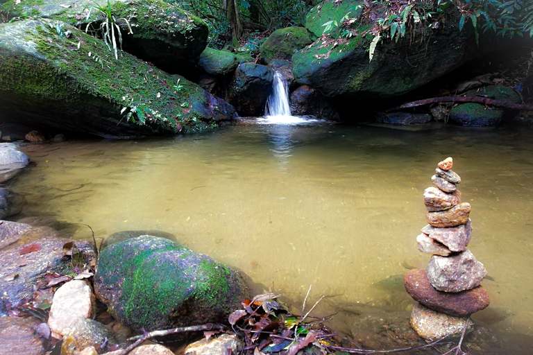 Rio de Janeiro: Vandring i Tijuca-skogens själarnas vattenfallRio de Janeiro: Tijuca Forest Waterfall of Souls vandring