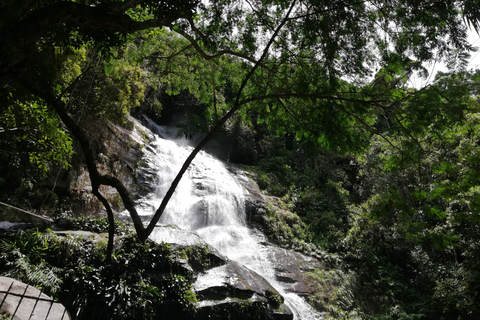 Rio de Janeiro: Caminhada na Cachoeira das Almas na Floresta da TijucaRio de Janeiro: Caminhada Cachoeira das Almas na Floresta da Tijuca