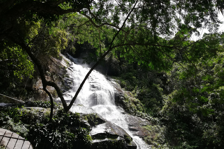 Rio de Janeiro: Vandring i Tijuca-skogens själarnas vattenfallRio de Janeiro: Tijuca Forest Waterfall of Souls vandring