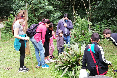 Rio de Janeiro: Escursione alla Cascata delle Anime della Foresta TijucaRio de Janeiro: escursione alla cascata delle anime nella foresta di Tijuca