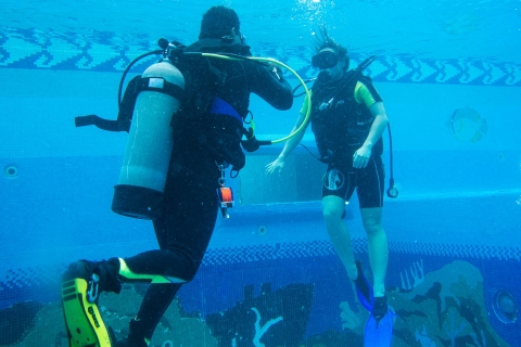 Cancun : École de plongée sous-marine AquaworldPlongée sous-marine du musée d'art