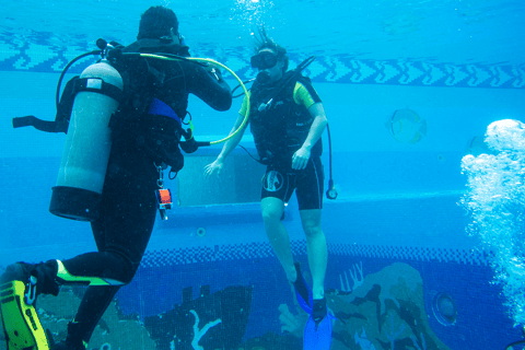 Cancún: Tauchschule AquaworldManchones Riff Tauchgang