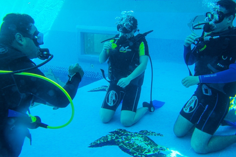 Cancun: Aquaworld Scuba Diving School Manchones Reef Dive