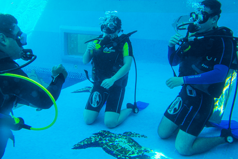 Cancun : École de plongée sous-marine AquaworldPlongée sous-marine du musée d'art