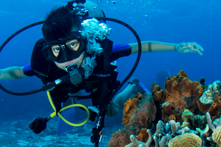 Cancun : École de plongée sous-marine AquaworldPlongée sous-marine du musée d'art