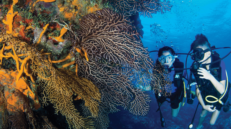 scuba diving school in cancun