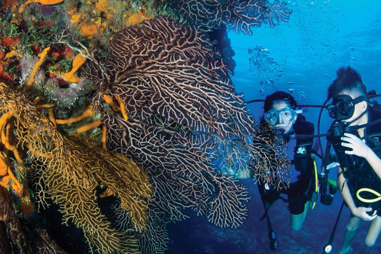 Cancun: Aquaworld Scuba Diving SchoolManchones Reef-duik