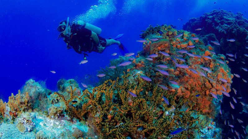 scuba diving school in cancun