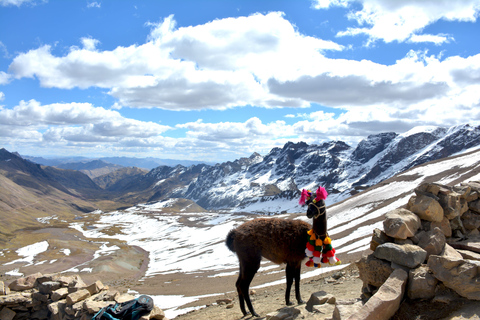 Desde Cusco: excursión de un día a la montaña de colores Vinicunca