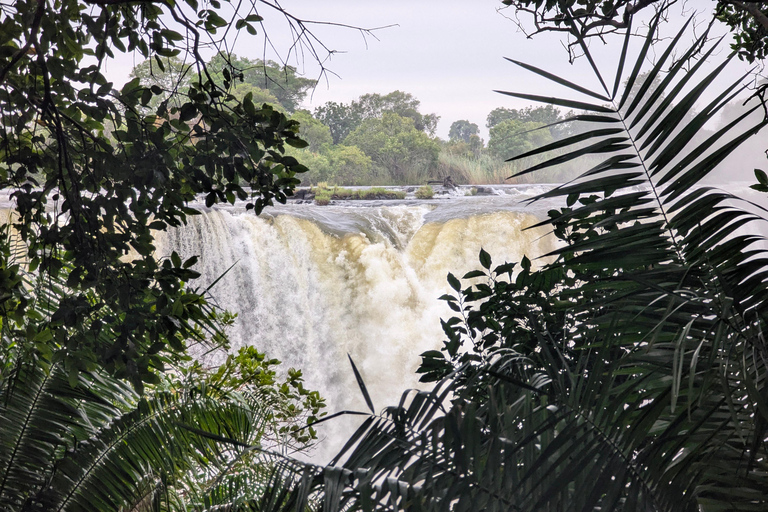 Victoria Falls Cross-Border Tour:Big Tree & Historic Bridge