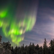 Levi: Nordlicht-Jagd-Fototour