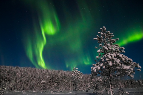 Levi: Excursão fotográfica para caçar a aurora borealLevi: passeio fotográfico de caça à aurora boreal