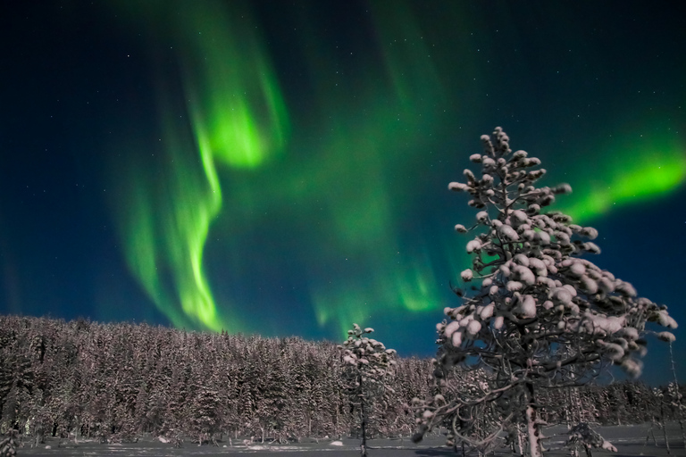 Levi: Recorrido fotográfico de caza de auroras boreales