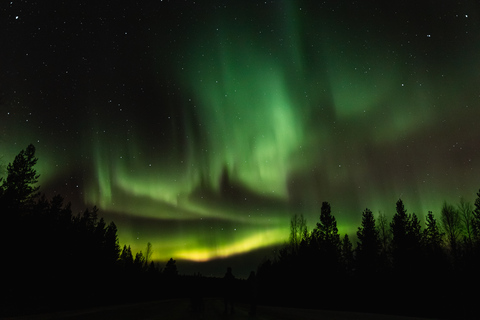 Levi: Tour fotografico a caccia di aurore borealiLevi: tour fotografico di caccia all&#039;aurora boreale