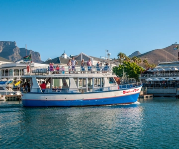 Cape Town: 30 Minute Harbour Boat Cruise with Seal Watching