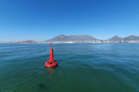Kapstadt: Bootstour im Hafen mit Robben-Beobachtung