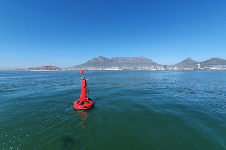 Cape Town: 30 Minute Harbour Boat Cruise with Seal Watching