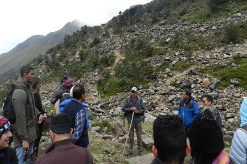 Cusco: descubre los picos nevados en el lago Humantay
