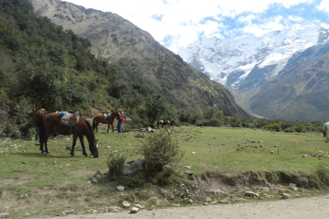 Cusco : découvrez les sommets enneigés du lac Humantay