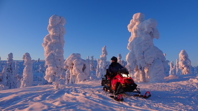 Visit Levi Twilight Snowmobile Safari in Kittilä, Finland