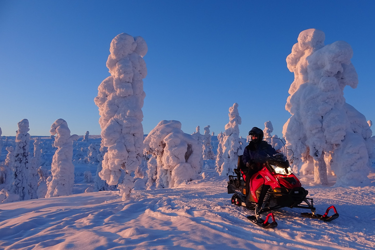 Levi: Abendliche SchneemobilsafariLevi: Schneemobilsafari in der Dämmerung