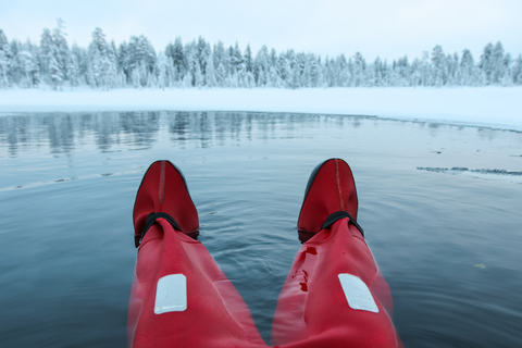 Levi: Arktisches Eis schwimmendes Abenteuer