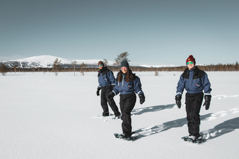 Levi: Excursión panorámica Levi con raquetas de nieve