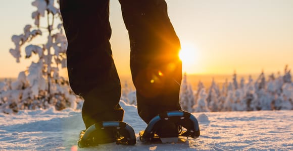 Levi: Scenic Levi Snowshoe Trip