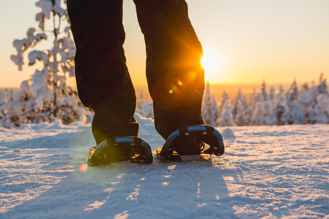 Levi: Scenic Levi Snowshoe Trip