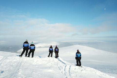 Levi: Excursión panorámica Levi con raquetas de nieve