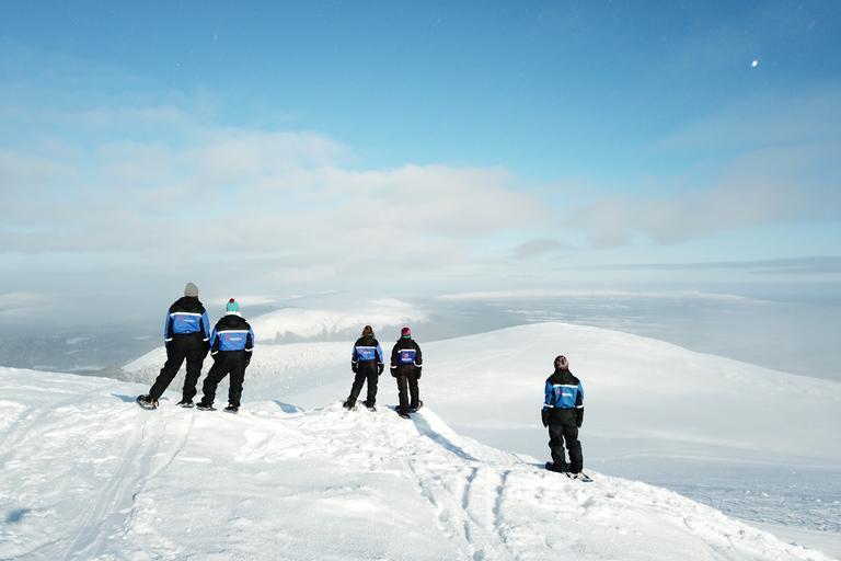 Levi: Excursión panorámica Levi con raquetas de nieve