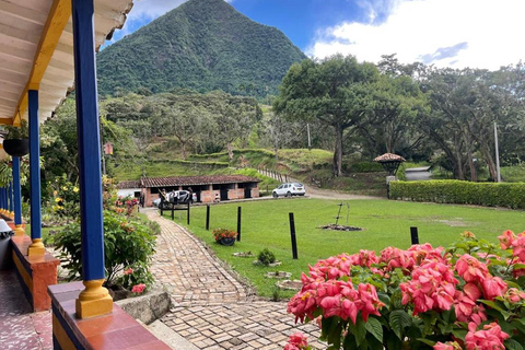 MEDELLÍN: WEJDŹ I ZDOBĄDŹ NATURALNĄ PIRAMIDĘ CERRO TUSAMedellin: Wycieczka piesza Cerro Tusa ze śniadaniem i lunchem