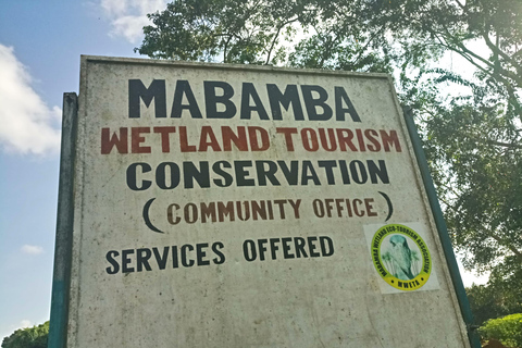 From Kampala: Mabamba Swamp Birding Half-Day Tour From Kampala: Mabamba Swamp Birding Day Tour