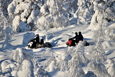 Levi: Enkel snöskotersafari i naturenEnkel snöskotersafari ut i naturen