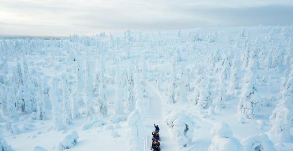 Levi: Easy Snowmobile Safari into the Nature