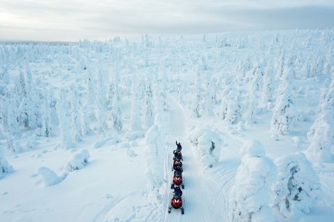 Levi: Enkel snöskotersafari i naturenEnkel snöskotersafari ut i naturen