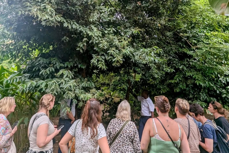 Zanzibar : Stone Town, visite des épices et de l'île prison avec déjeunerVisite privée