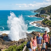 Sydney: Kiama Blowhole and South Coast Small-Group Tour